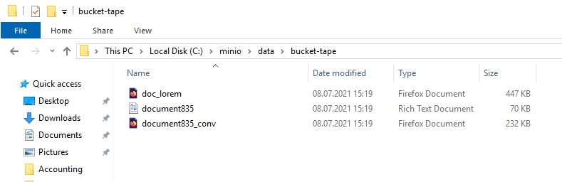 PoINT Storage Manager & MinIO PoINT Storage Manager & MinIO