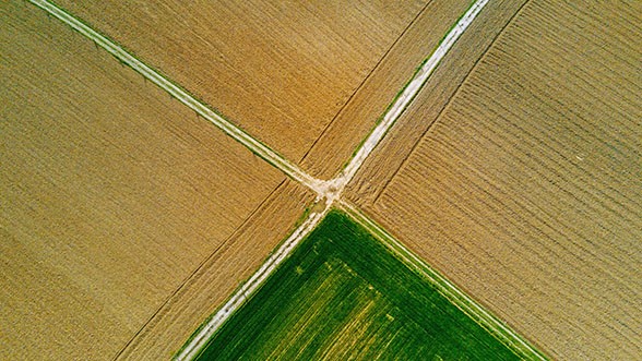 Natura e paesaggio: vista aerea di un campo, coltivazione, prato Die Kreuzung und die verschiedenen Felder sind ein Vergleich für eine hybride Speicherinfrastruktur.